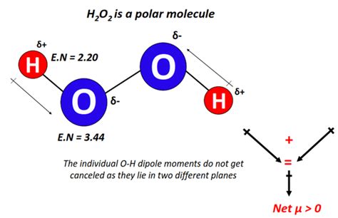 H2O2 Polarity