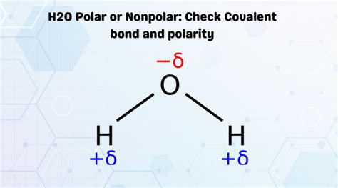 H2o Polar Atau Nonpolar