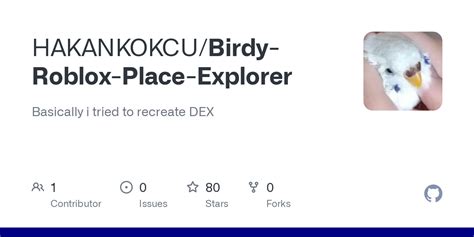 HAKANKOKCU/Birdy-Roblox-Place-Explorer: Basically i  - GitHub