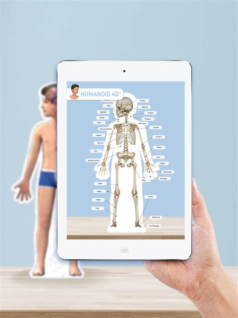 HOW TO put in WE 12 APK ON humanoid