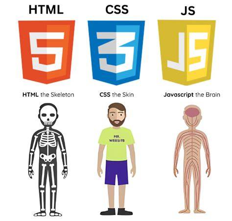 HTML,  CSS, and Javascript