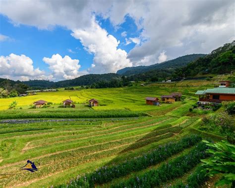 Ha Giang Loop Accommodations