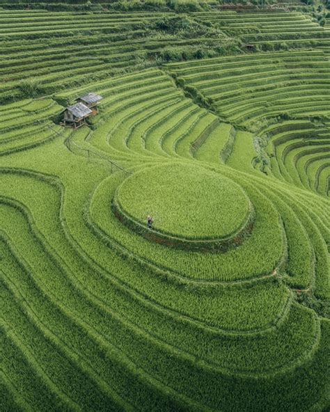 Ha Giang terraces