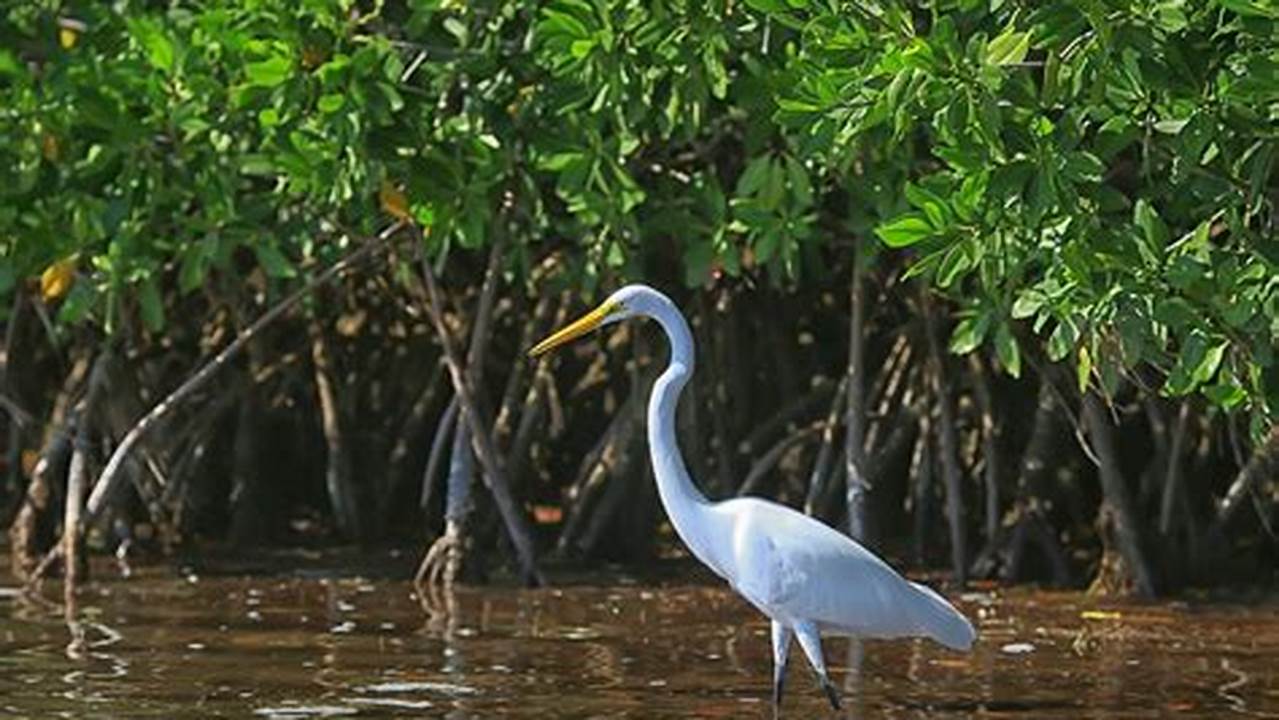 Habitat Bagi Satwa Liar, Manfaat