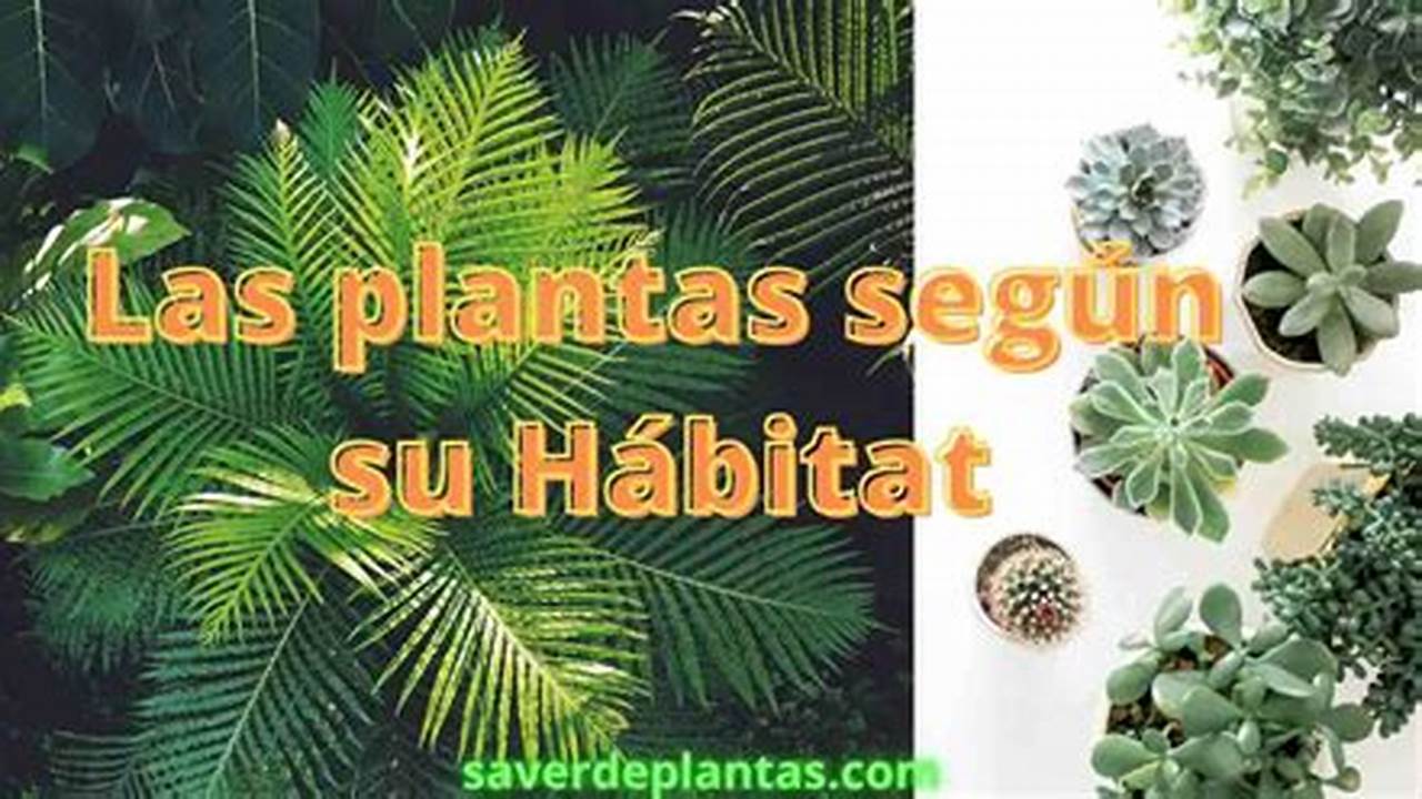 Habitat Diferente., Plantas