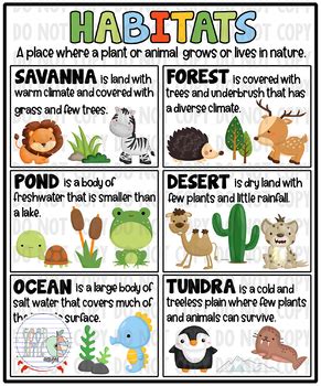 Habitats Anchor Chart
