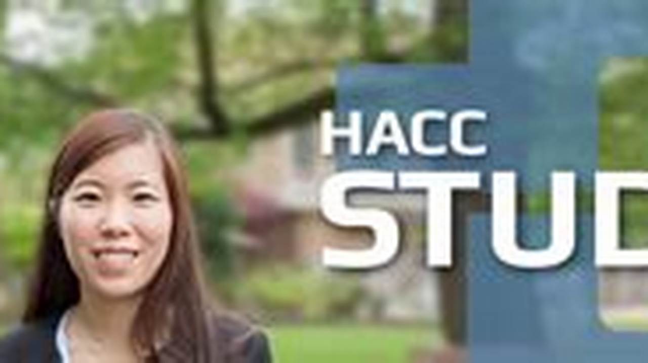 Hacc Summer Classes 2024