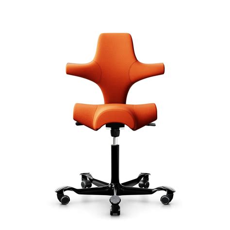 Hag Ergonomic Chair
