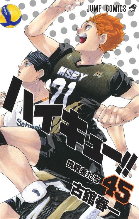 Haikyuu Last Volume