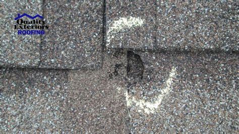 Hail Damage Roof Repair Professional Inspection