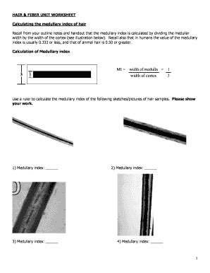 Hair And Fiber Unit Worksheet Answers