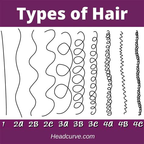 SheaButterLicious Hair Charts