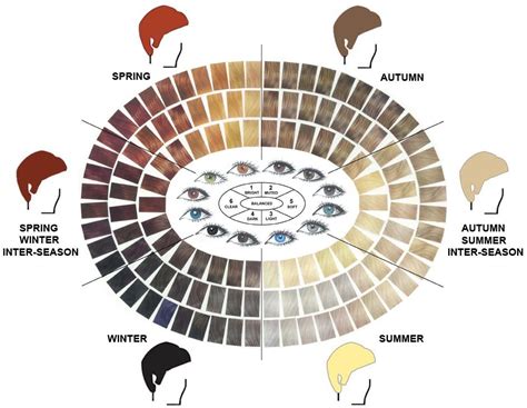 Hair Color Chart Men