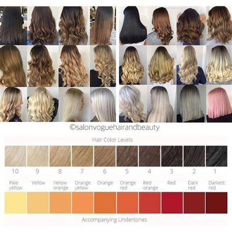 Hair Color Chart Shades