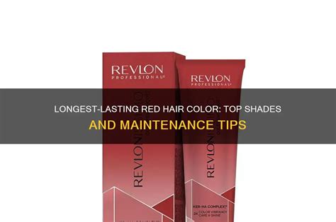 Longevity & Maintenance: Making Your Color Last