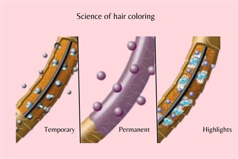 Hair Color Science