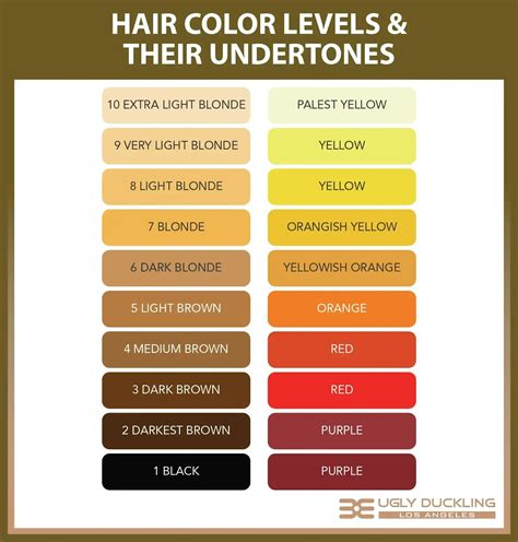 The Science Behind the Shade: Tone and Undertones