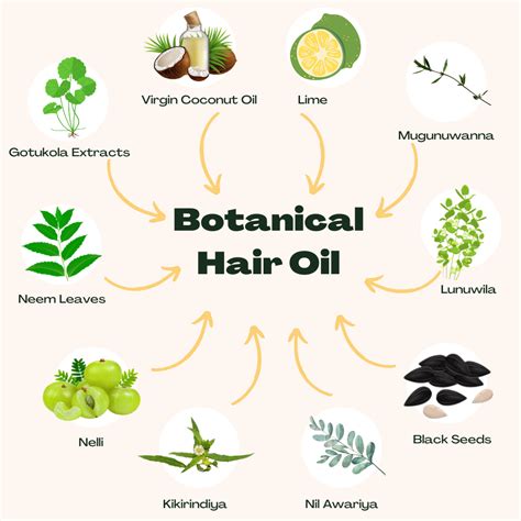 Understanding Hair Oil Ingredients: A Deep Dive
