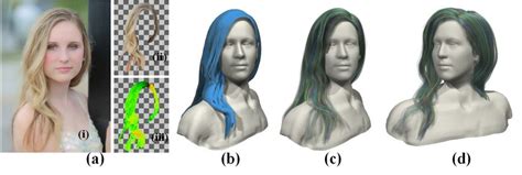 Hair Style Database