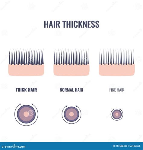 Hair Type Matters: Fine vs. Thick Strands