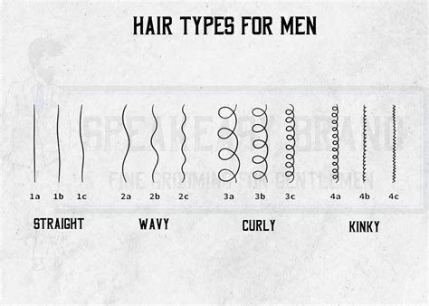 Hair Types Chart For Men