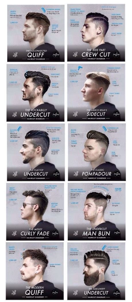 Haircut Catalog Men