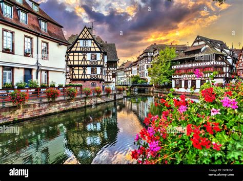 Half-Timbered Houses Strasbourg