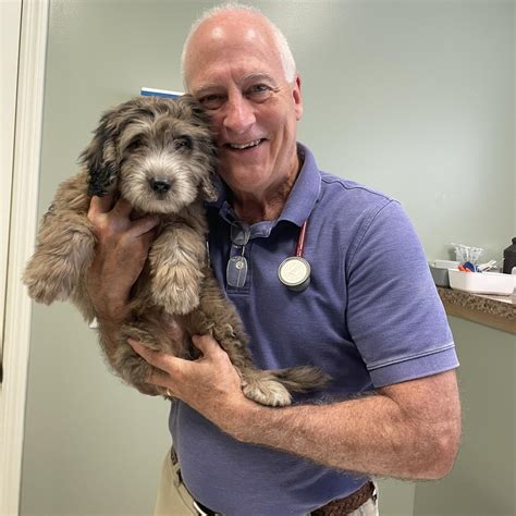 Experience Exceptional Pet Care at Halfmoon Valley Animal Hospital - Your Trusted Veterinary Partner!