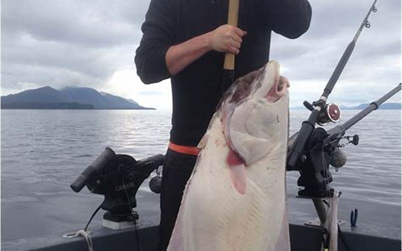 Halibut Fishing In Alaska