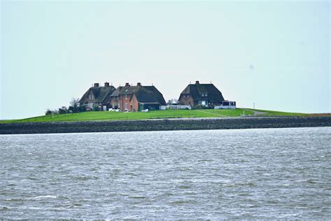 Hallig Hooge activities