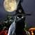 Halloween Black Cat Pictures