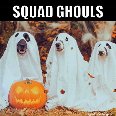 Halloween Dog Meme