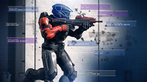 Halo Infinite customization