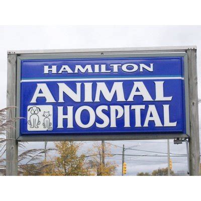 Hamilton Animal Hospital in Clawson, MI: Compassionate Care for Your Furry Friend