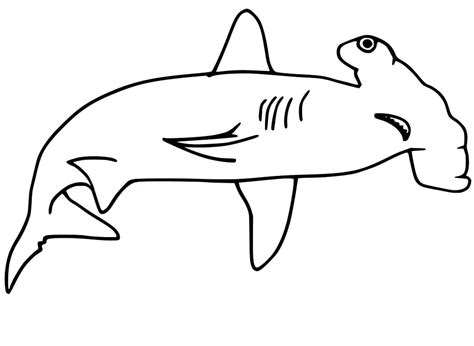 Hammerhead Coloring Page Templates