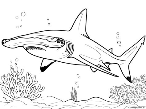 Hammerhead Shark Coloring Page