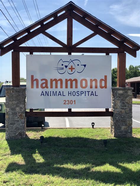 Discover Quality Pet Care Services at Hammond Animal Hospital & Pet Lodge
