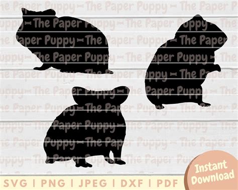 Download Hamster Clipart DXF Files