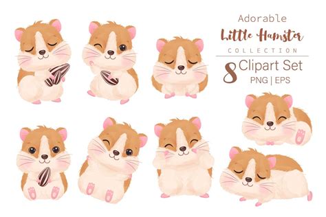 Download Hamster Clipart For Crafts