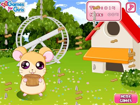 Hamster Jeux
