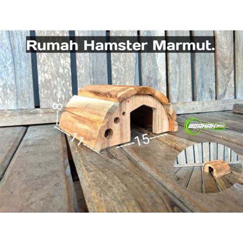 Tanda Hamster Senang Sarang Nyaman