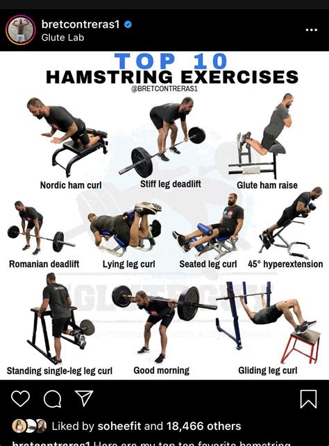 Hamstring Workout