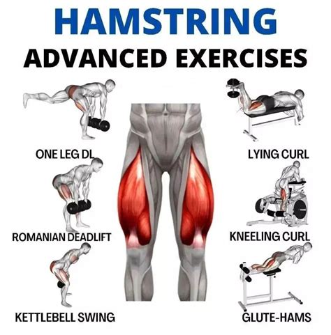 Hamstring Workouts