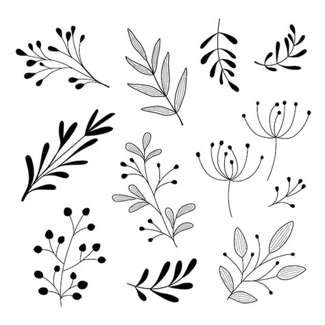 Download Hand Drawn Floral Collection For Cricut