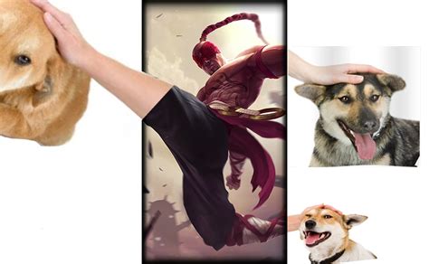 Hand Petting Dog Meme