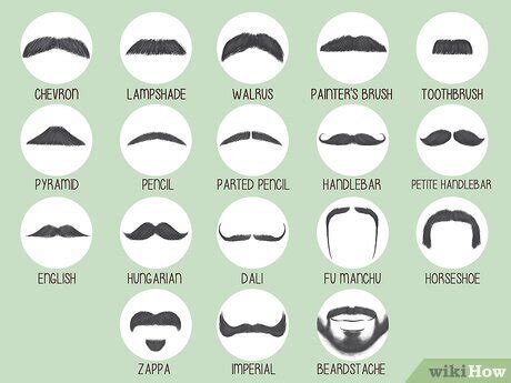 Handlebar Mustache Styles Chart