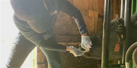 Handling Acclimation and Placement