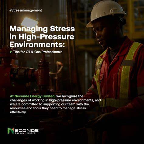 Handling Stress and High-Stakes Environments