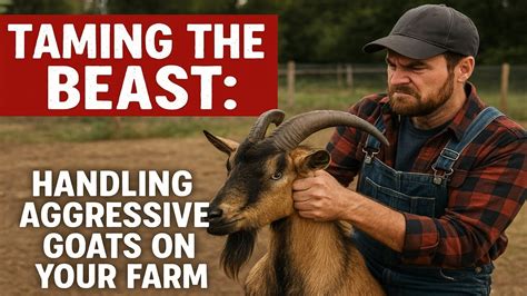 Handling and Dynamics: Taming the Beast