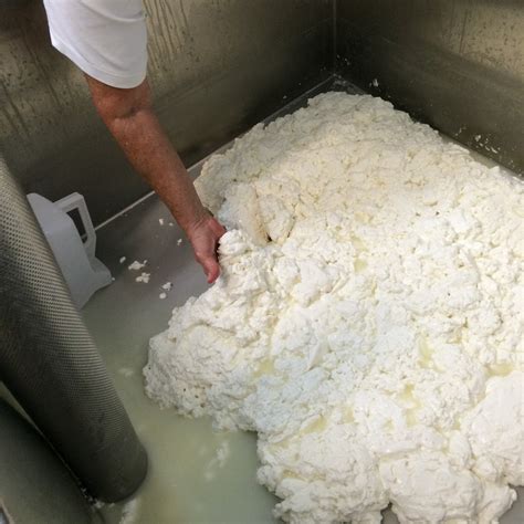 Hands-On Cheesemaking